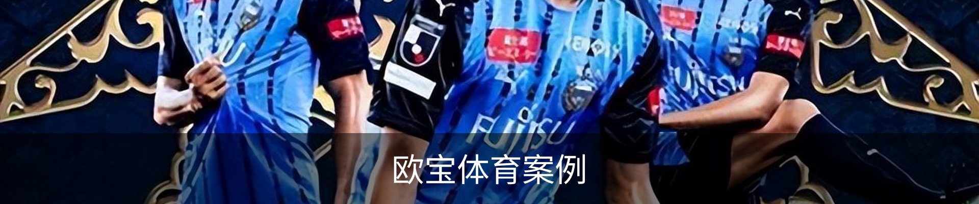欧宝体育案例